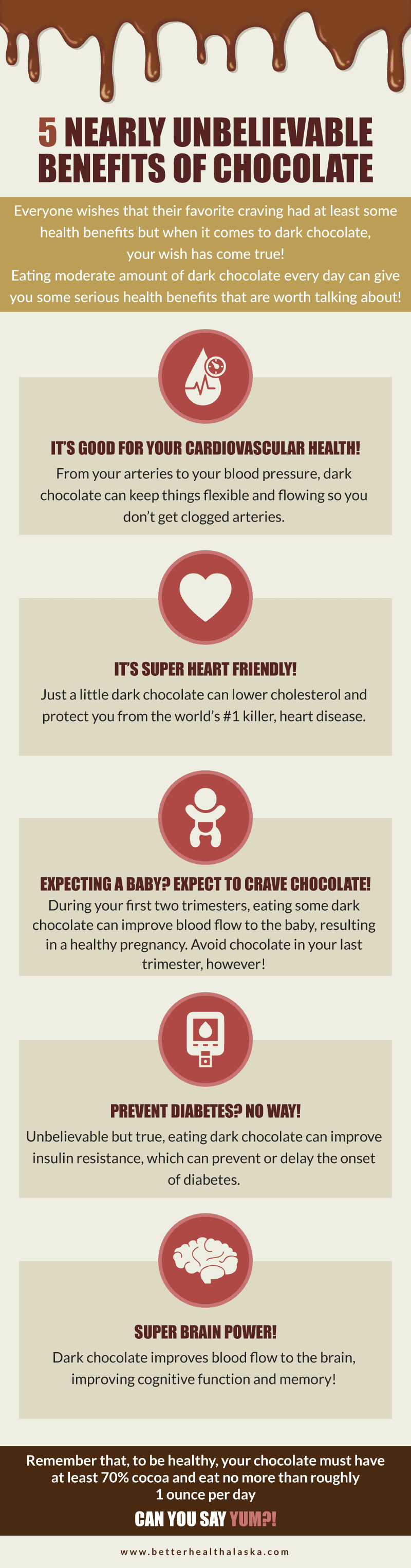 5 Things Every Chocolate Lover Needs to Know Infographic 