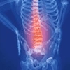 The x-ray representation of a back with highlight in the lower back.