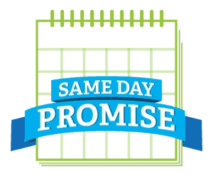 Same day promise logo.