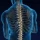 An x-ray style that shows the spine inside a human body.