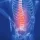 An x-ray style that shows the spine in red highlight inside a human body.